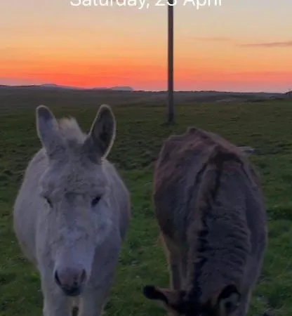 別荘 Ned's Kincasslagh