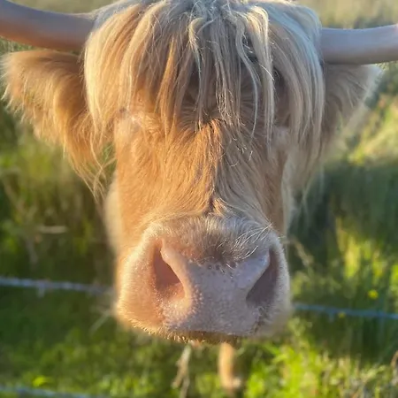 Holiday home Ned's *