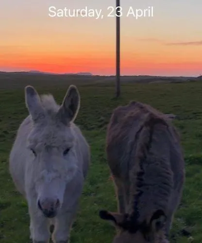 Feriehus Ned's Kincasslagh